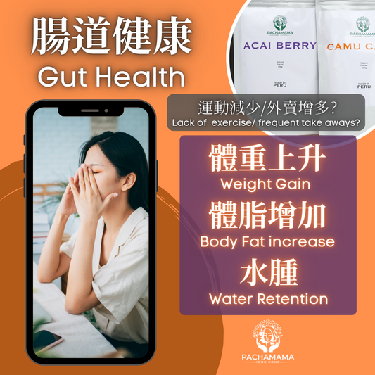 腸道健康 - 體重上升, 體脂增加, 水腫