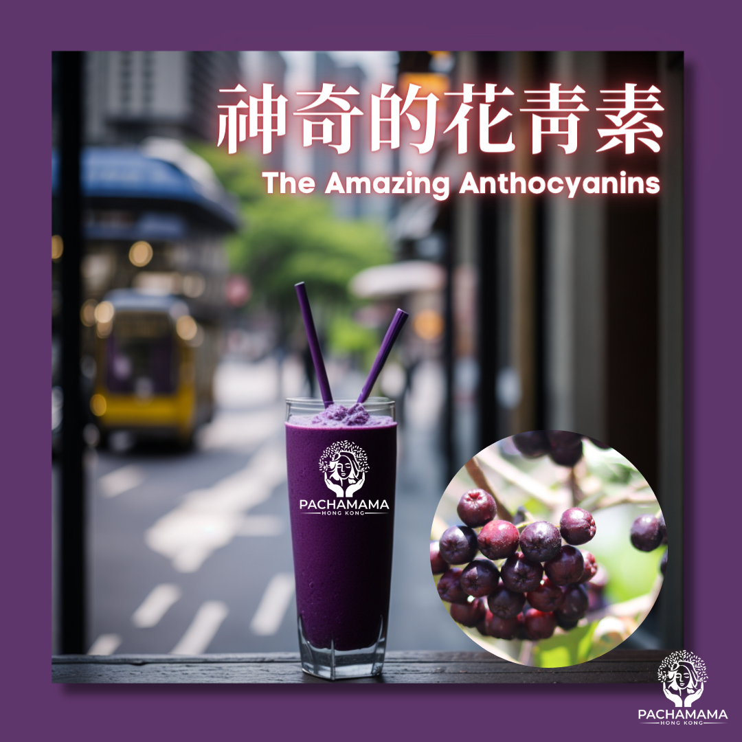 【神奇的花青素】