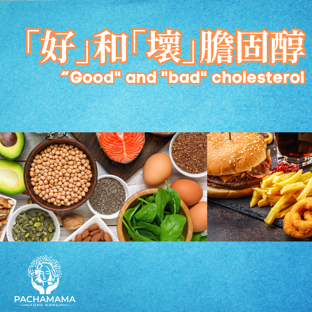 「好」和「壞」膽固醇