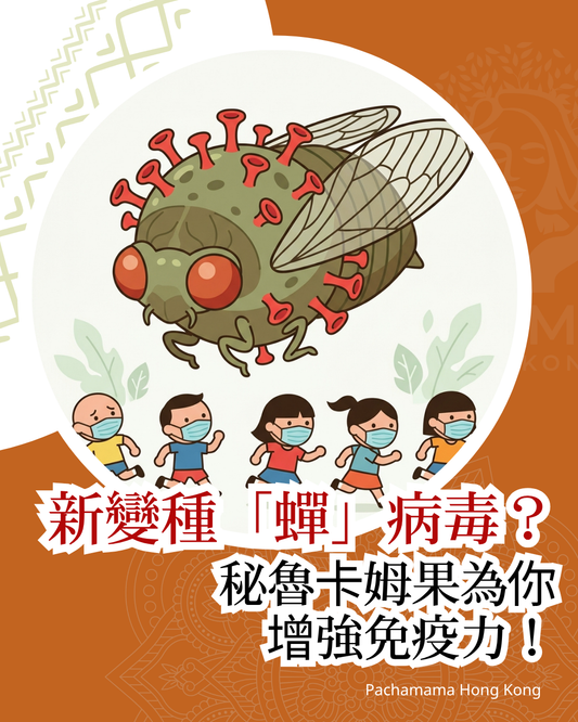 【認識新變種「蟬」病毒？】