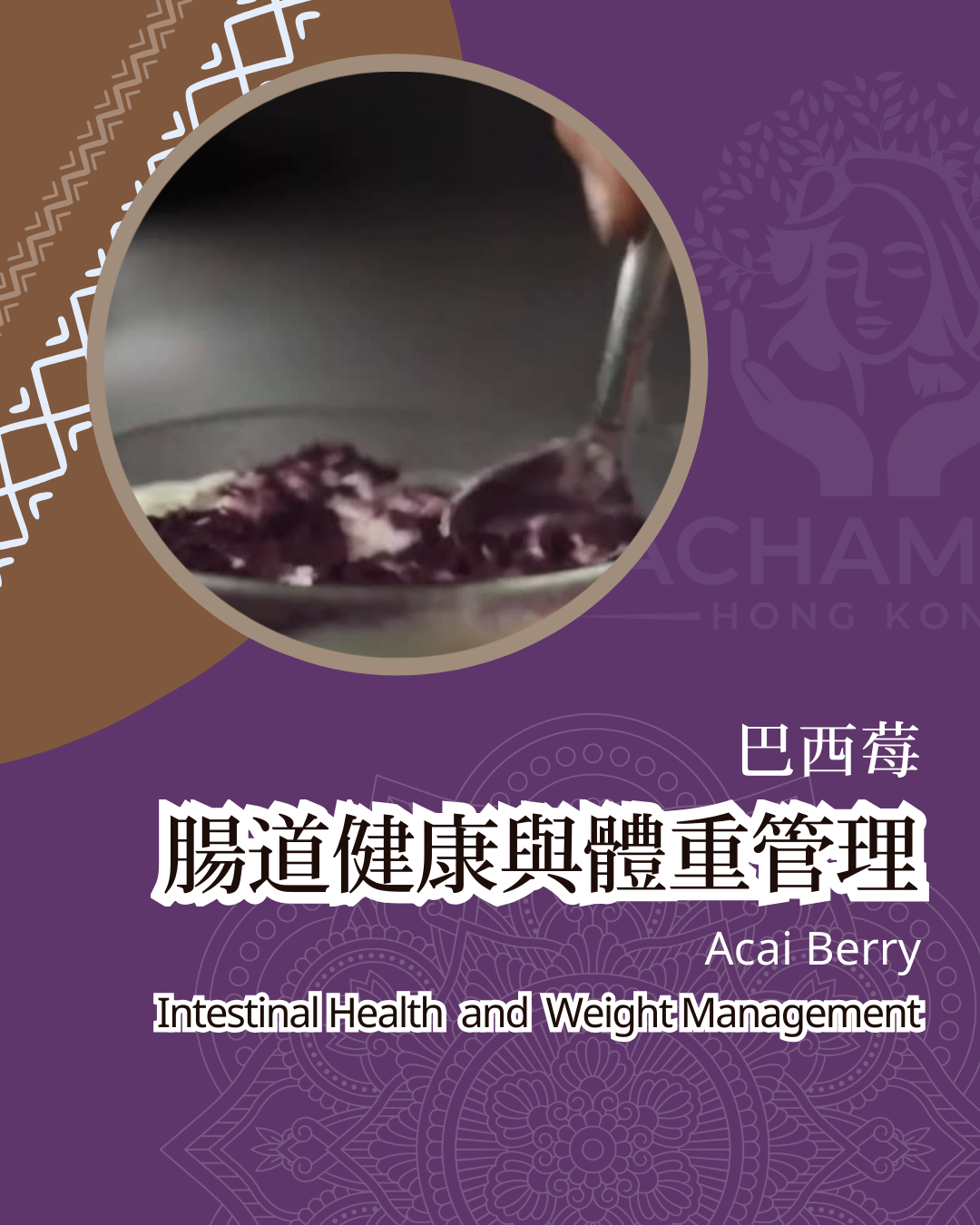 【巴西莓如何促進腸道健康與體重管理】