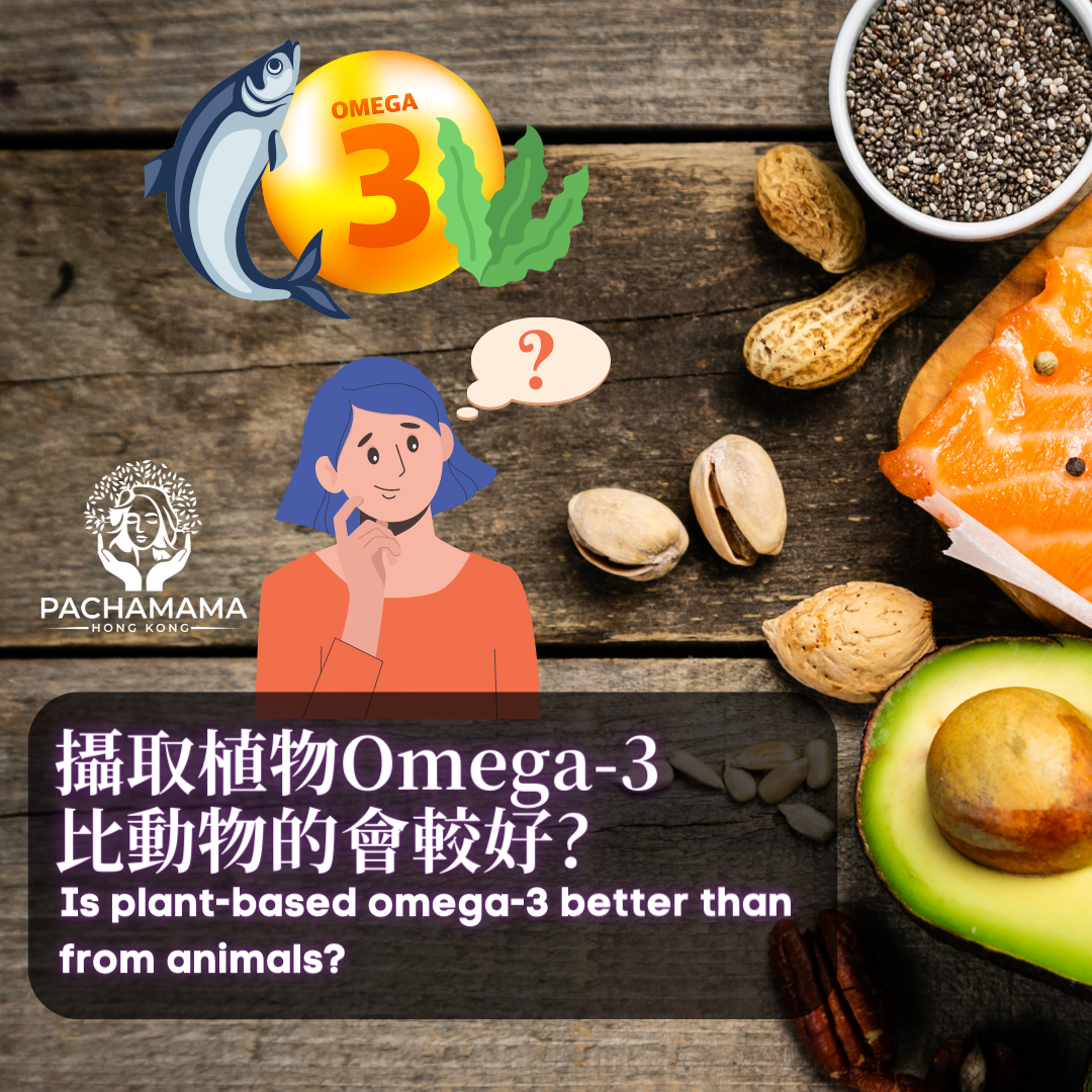 攝取植物Omega-3比動物的會較好?