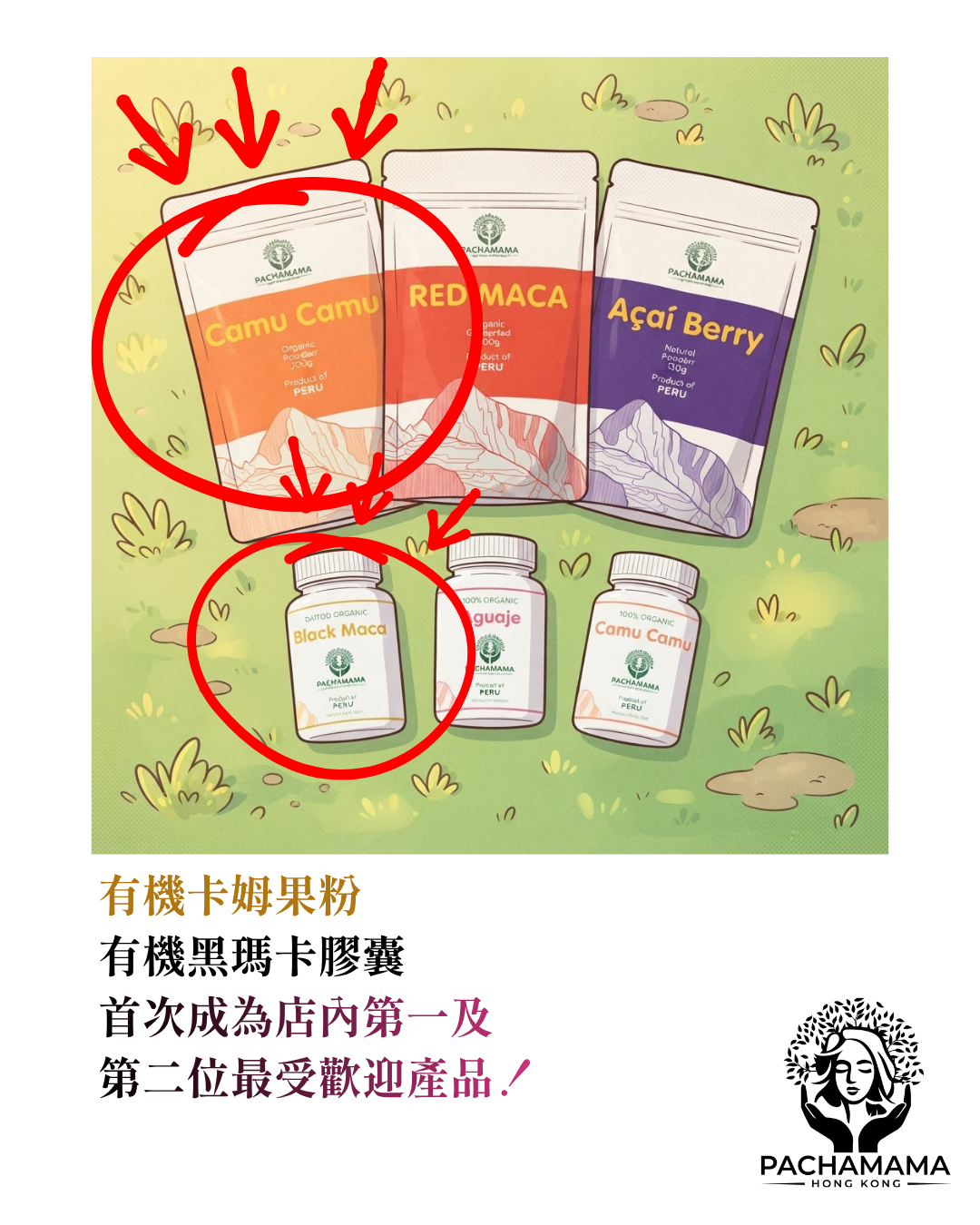 有機卡姆果粉升至銷售第一，有機黑瑪卡膠囊第二